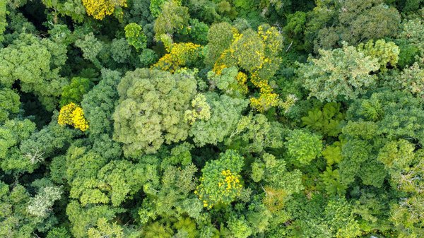 Pilates genève : trouvez le cours idéal pour vous