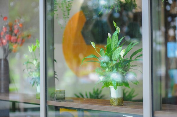 Maîtrisez l"art de la photographie nocturne : guide indispensable pour saisir des paysages éblouissants sous les étoiles